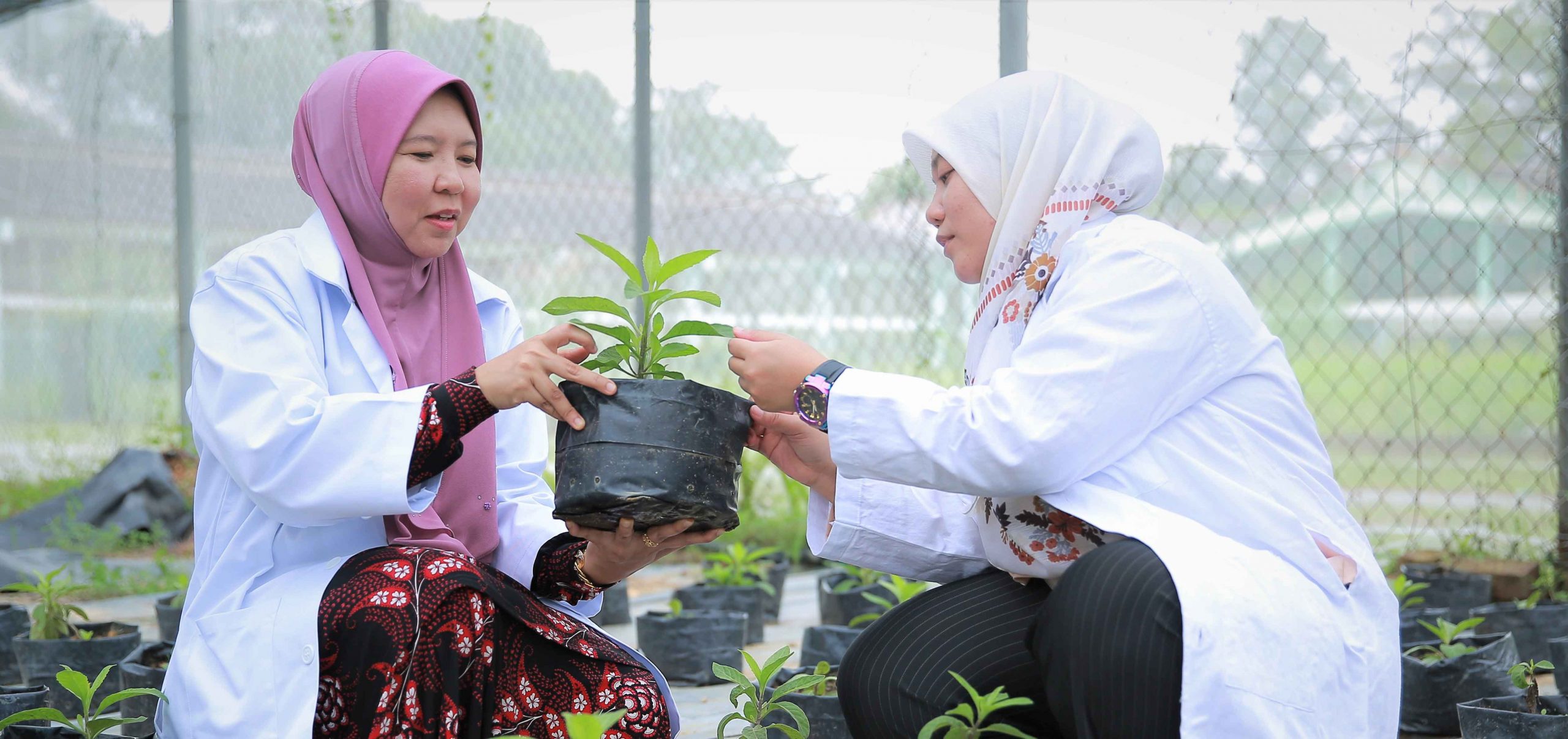 Research_MainPage-scaled